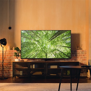Foto ambientata TV Nanocell 75NANO81A6A